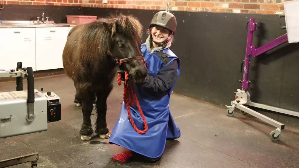 Equine Veterinary Nursing Apprentice, Lizzy King, kneels next to a black Shetland pony in the Redwings Horse Hospital.
