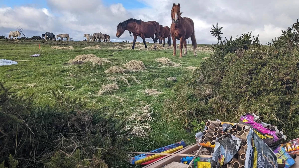 Horse and fireworks