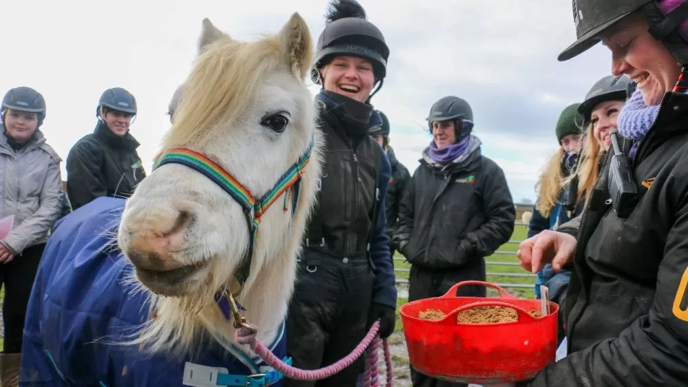 Willow is presented with a pony-friendly birthday cake surrounded by her carers at Redwings.