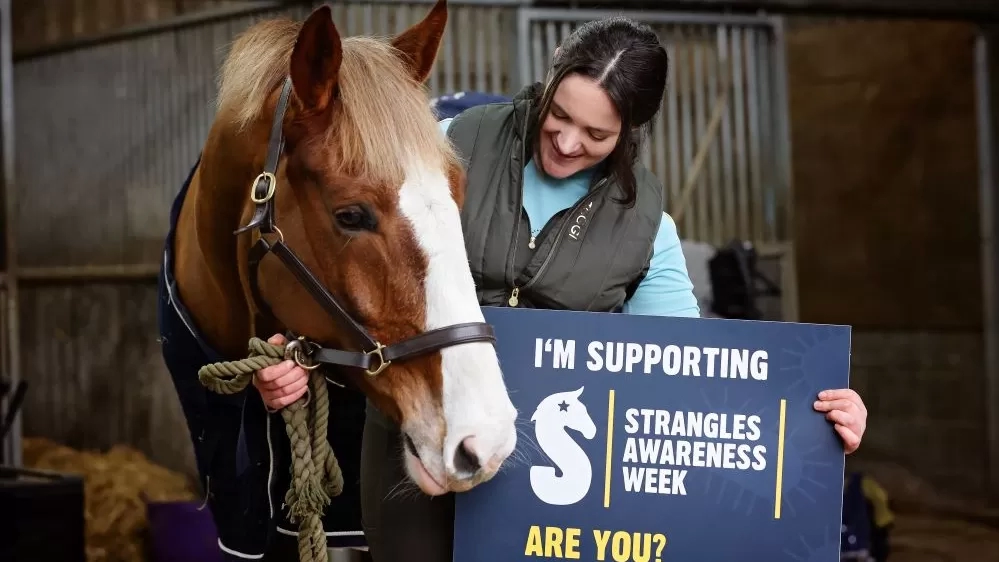 Equestrian influencer Riding with Rhi cuddles a chestnut horse in a stable holding a Strangles Awareness Week sign.