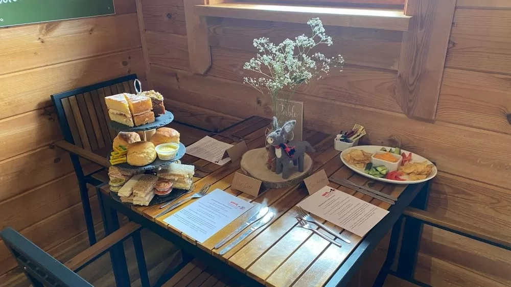 A table is set up ready for afternoon tea, with scones, sandwiches and cakes.