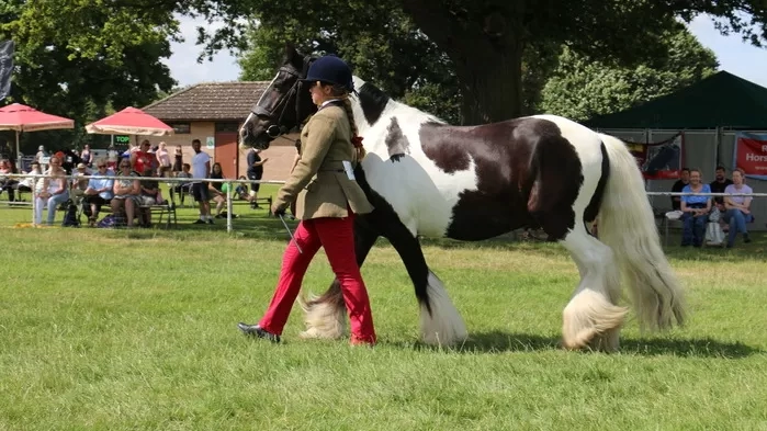 Redwings Jerome and Milly in the ring