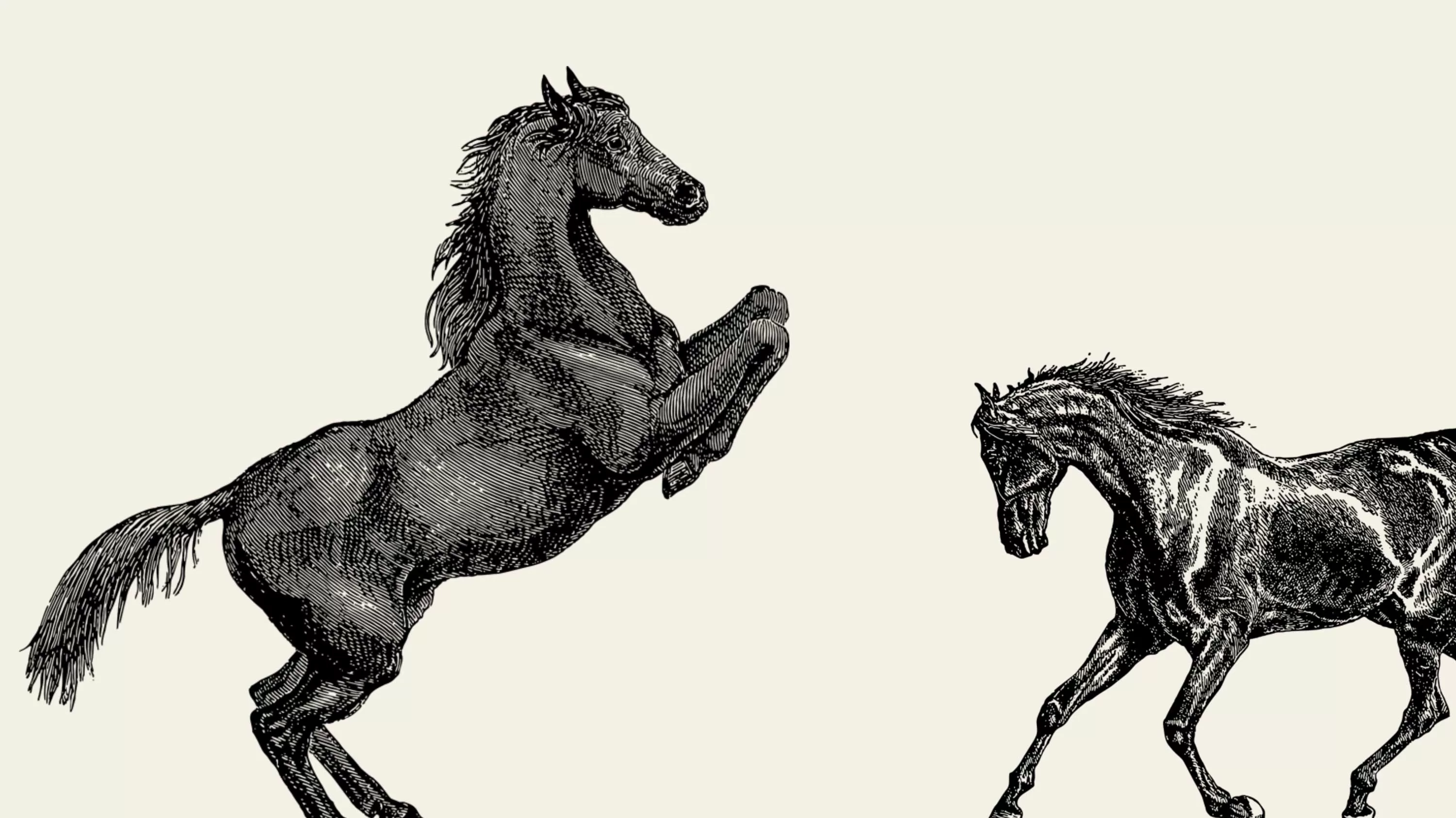 Cover of resource for Black Beauty PowerPoint template	