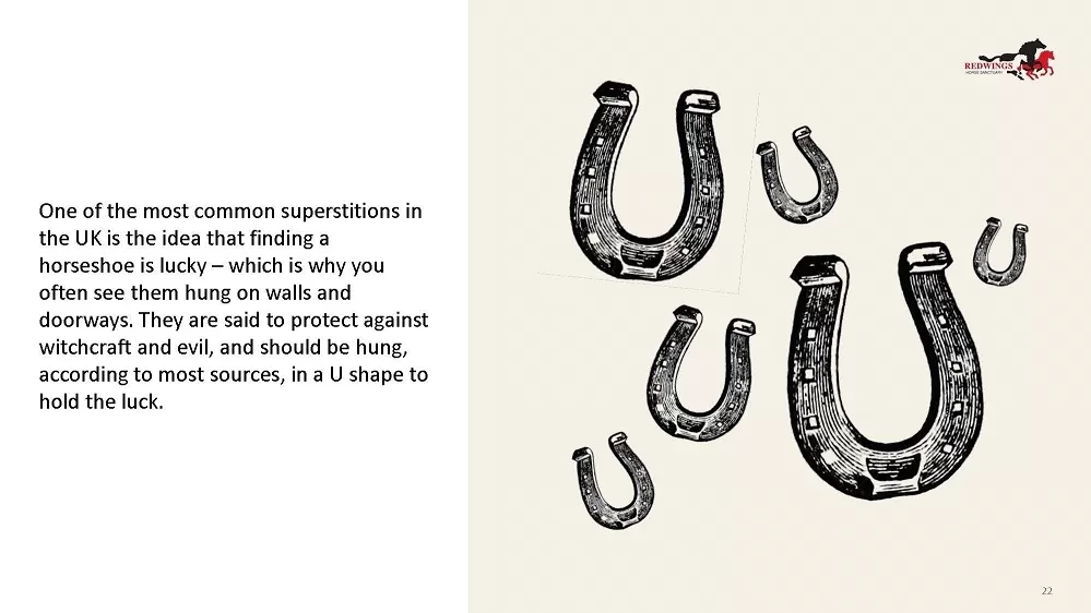 One of the slides from the Black Beauty resources