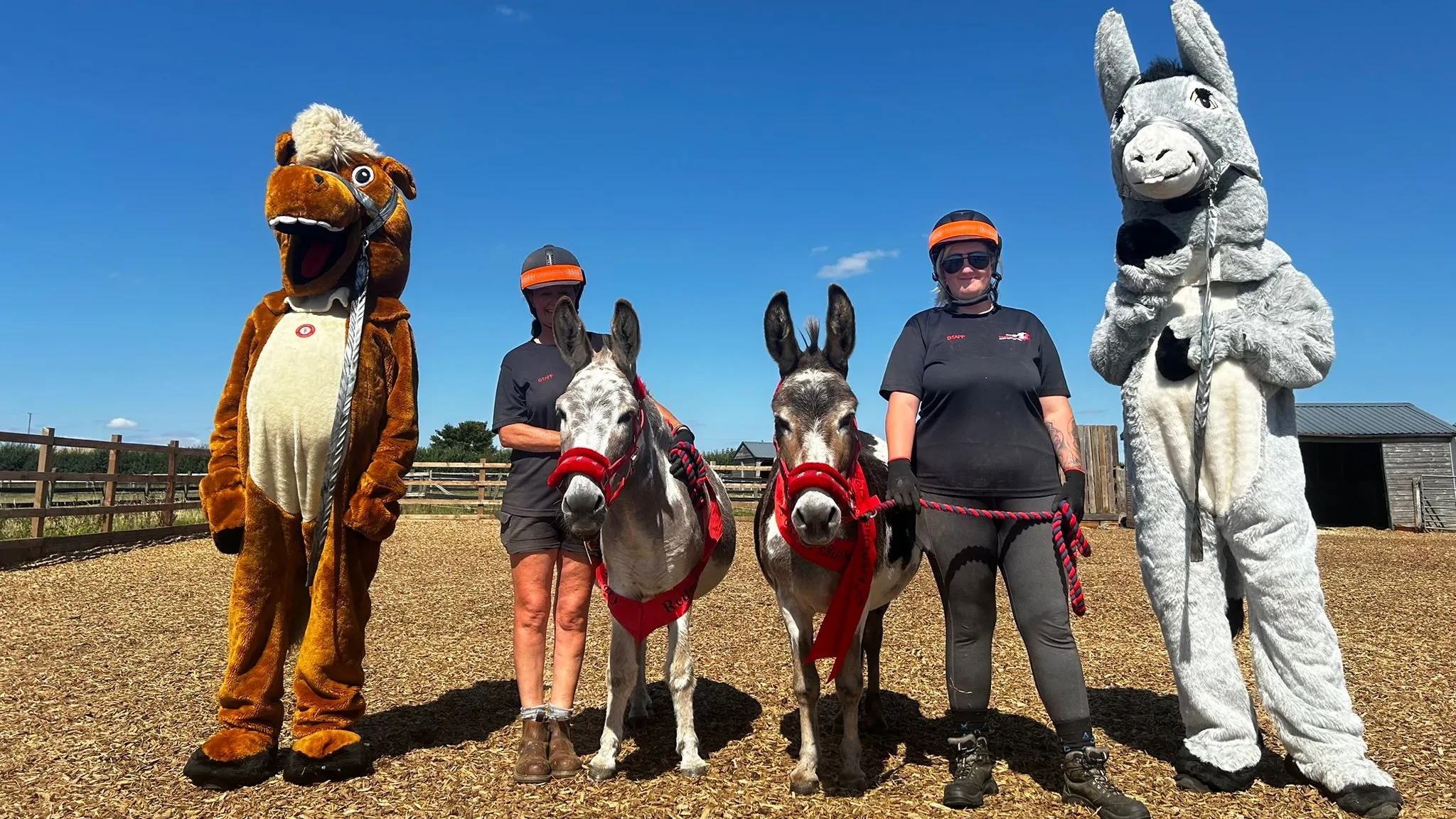 Photo of two donkeys stood with their carers, with Redwings mascots Red (a horse) and Wings (a donkey).