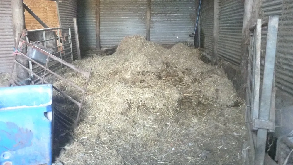 A photo of rotting forage found at the farm.