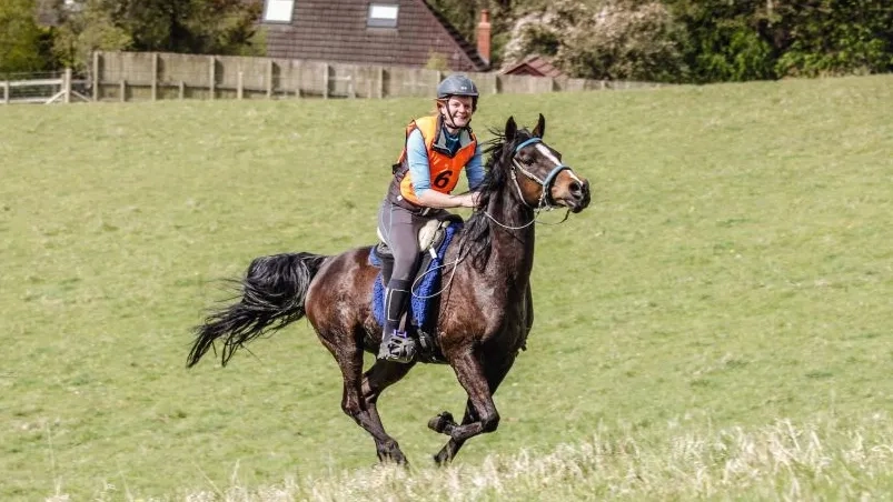 Merlot and Tamzin
