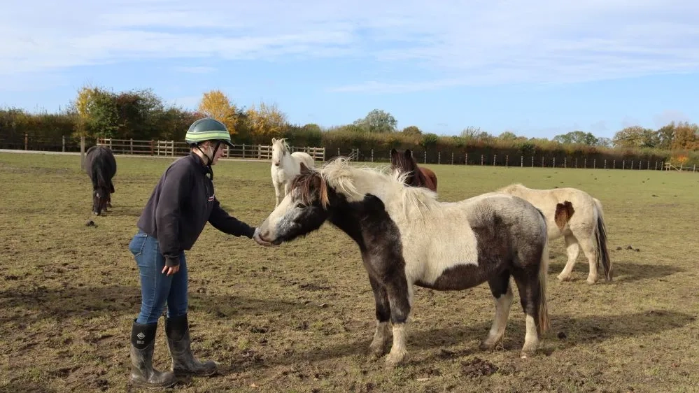 Mica enjoying a treat from our staff