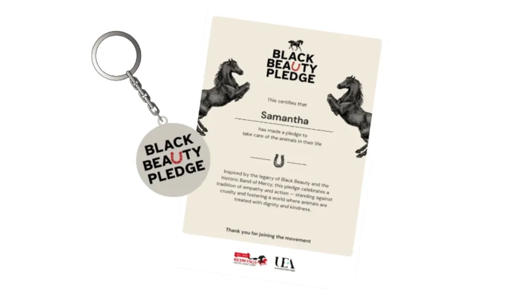 Photo of the key chain and pledge certificate 