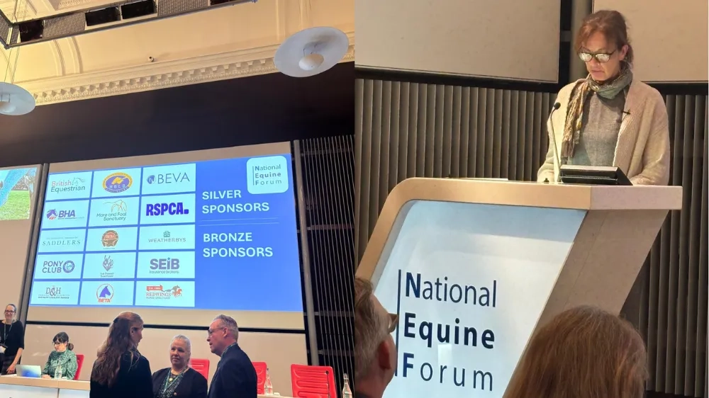A photo of Campaigns Manager Helen at the National Equine Forum 
