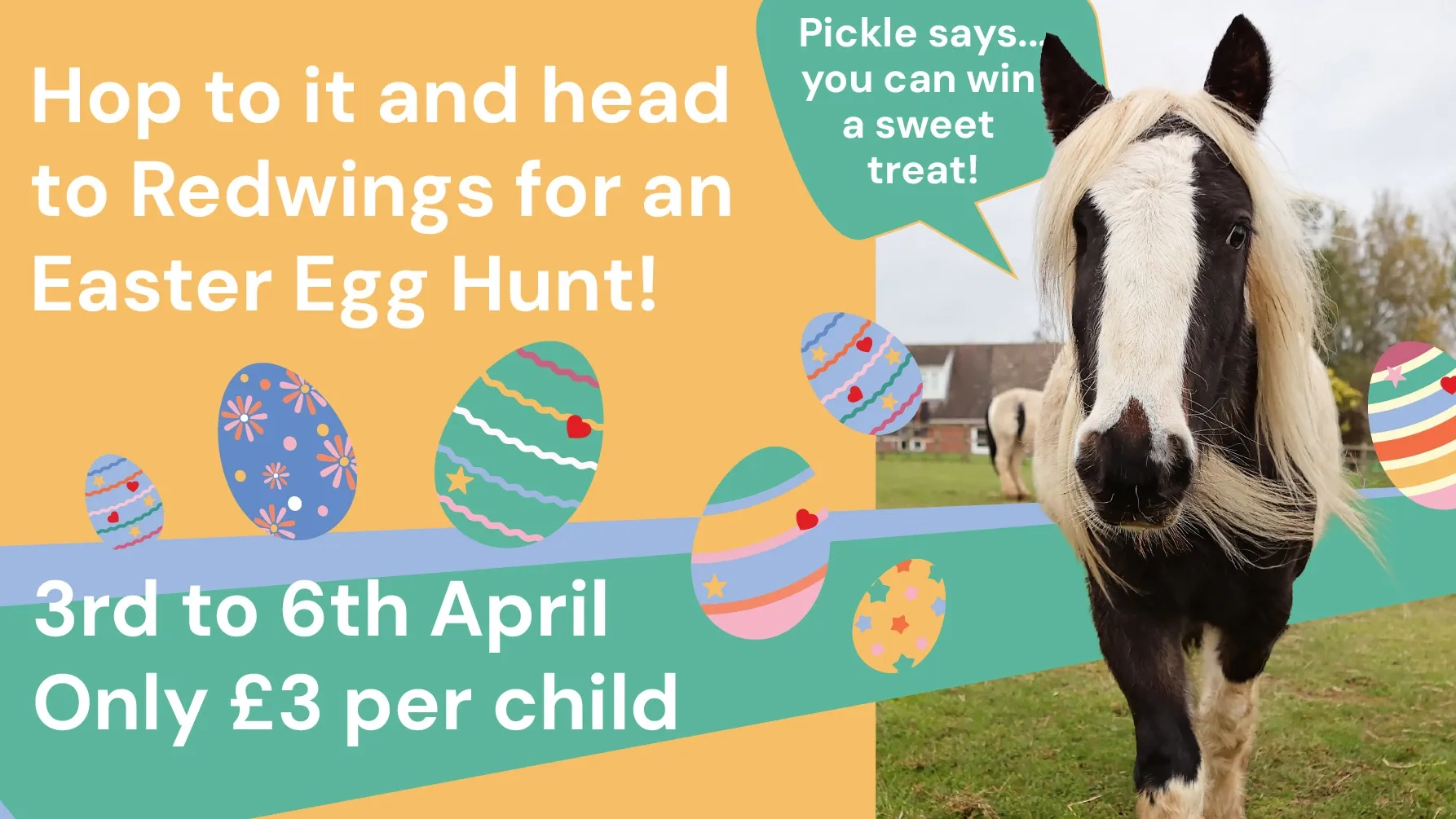 Aylsham Easter Egg promo
