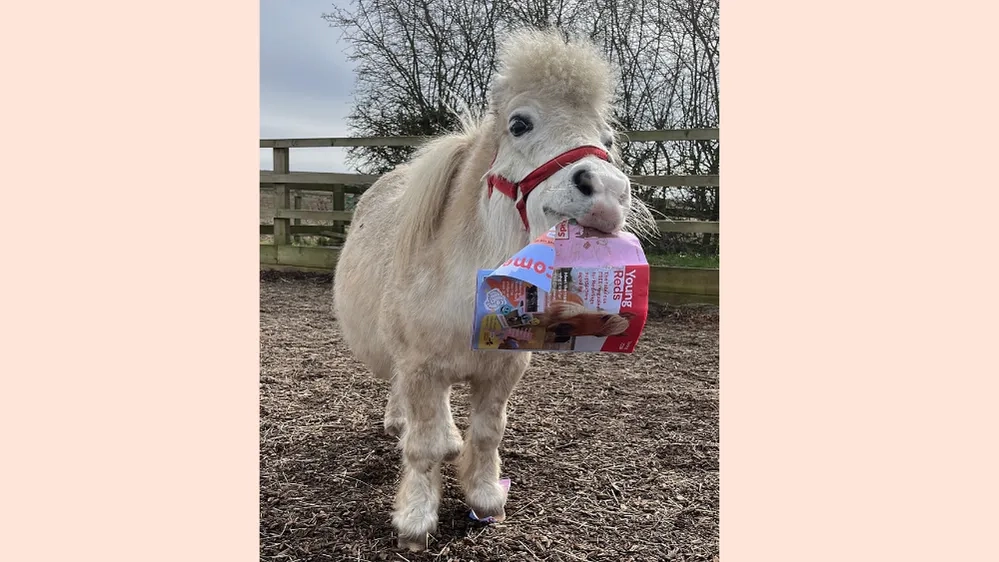 Patch with Mini Reds