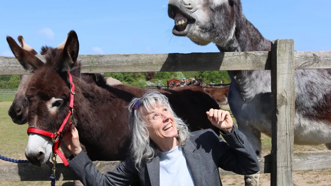 Photo of Suzie in front of two donkeys. She is laughing.
