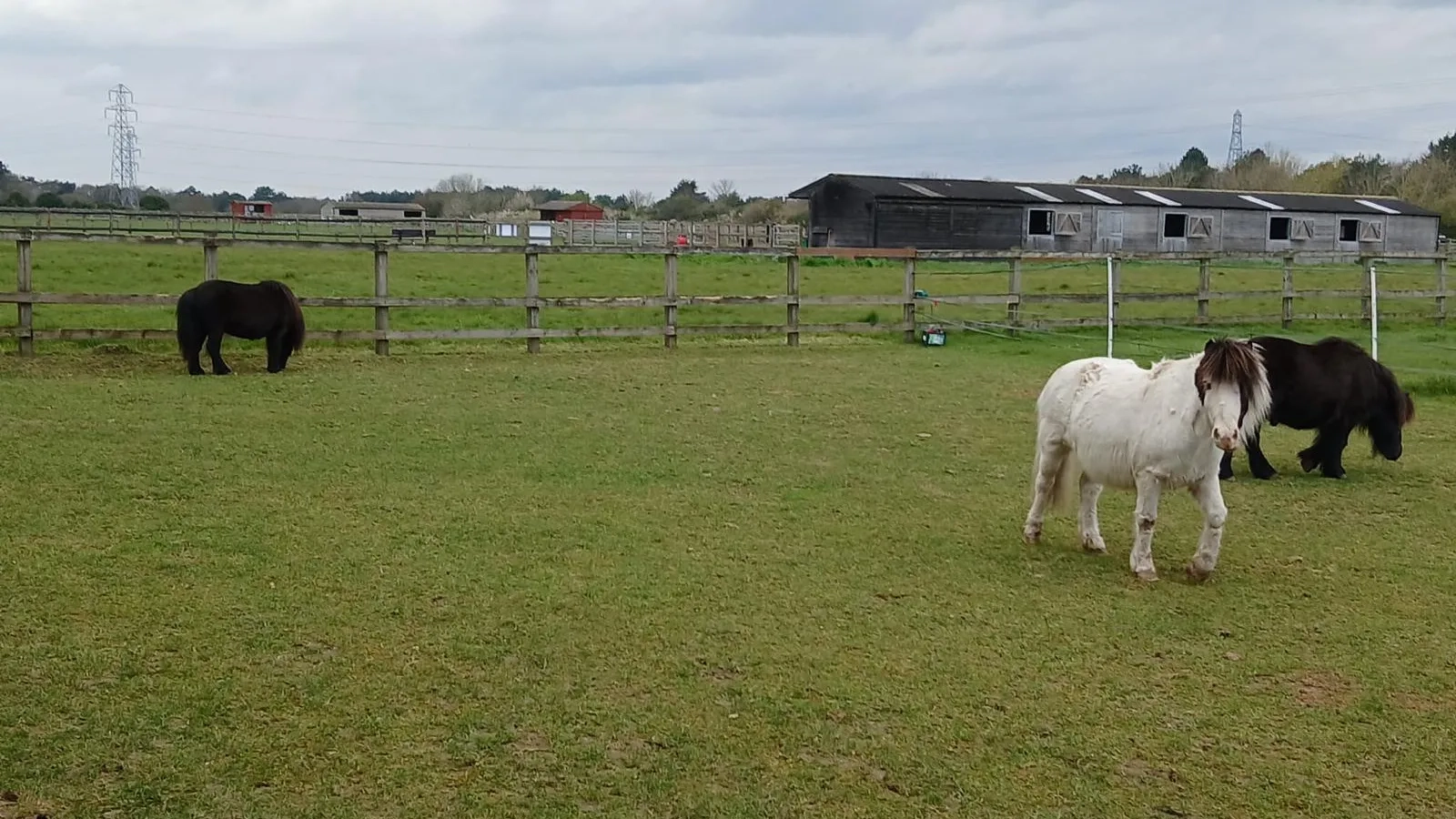Mac with his friends Jimmy and Jester in a field