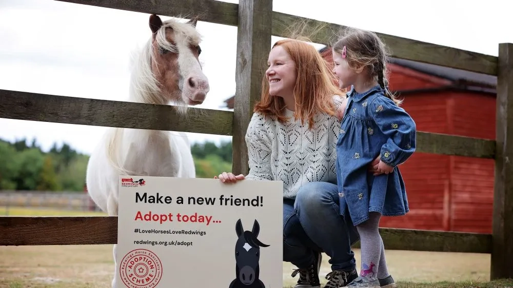 Meeting Shetland pony