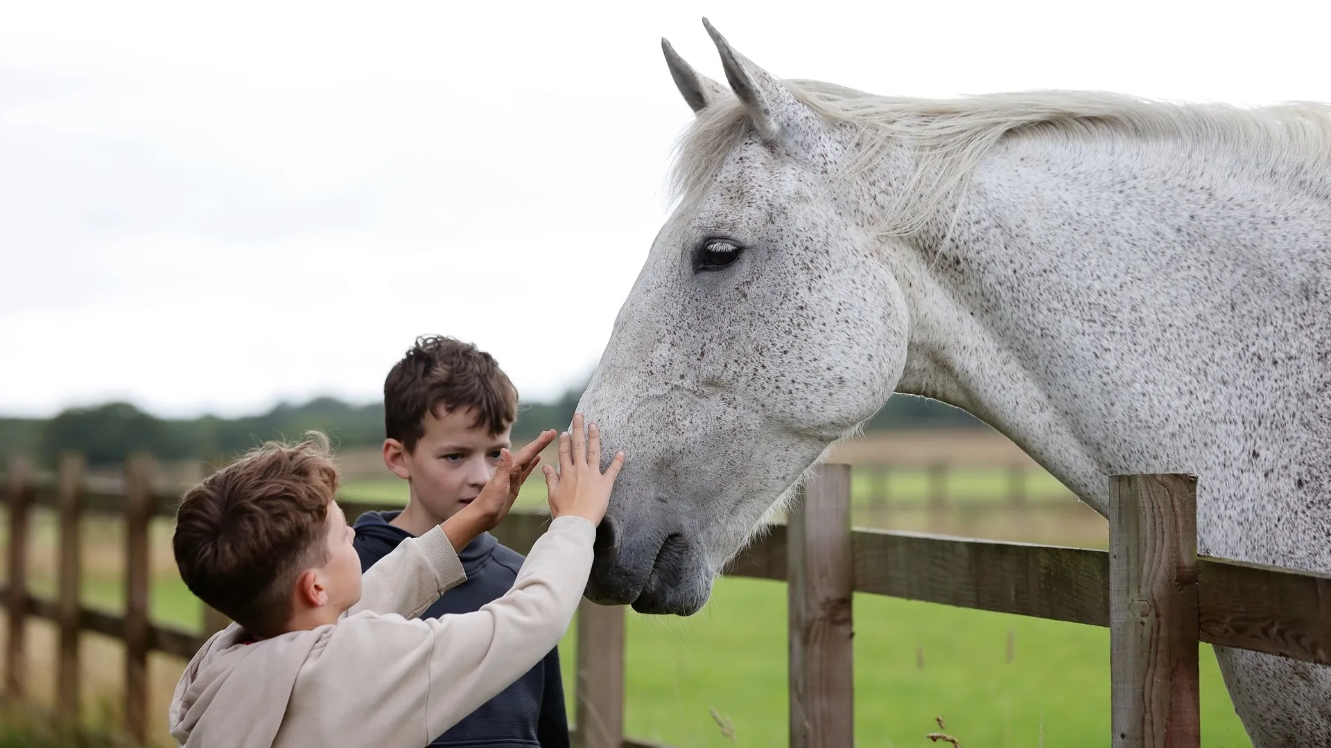 A photo of two young boys stroking a horse over a fence. 