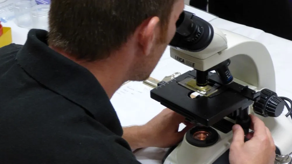 a worm egg count at Redwings