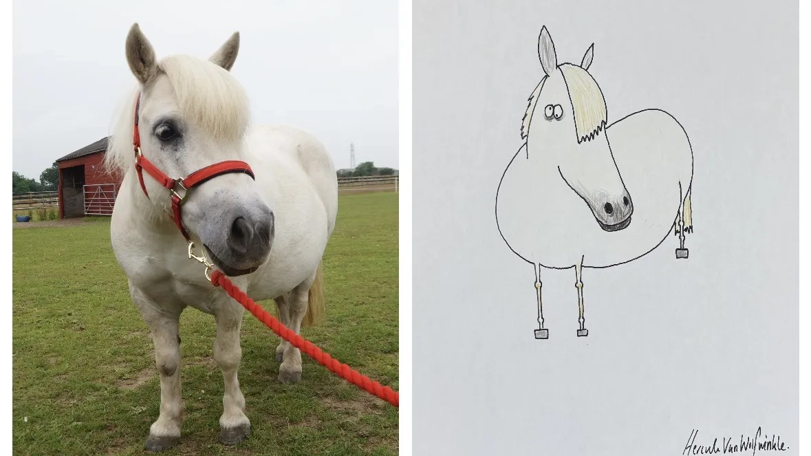 Pet Portraits by Hercule - Sampson 