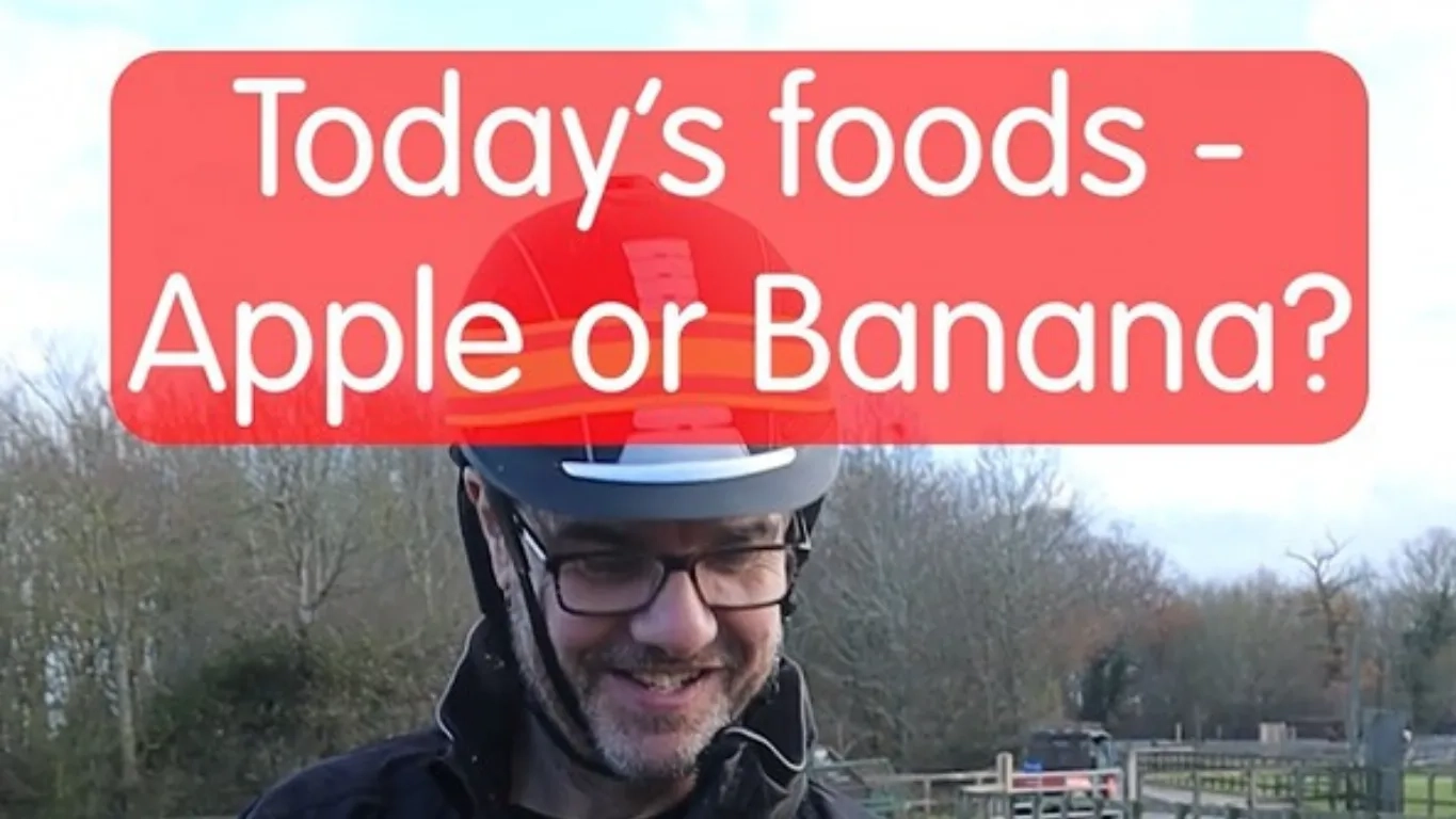 Screenshot from the first food show video
