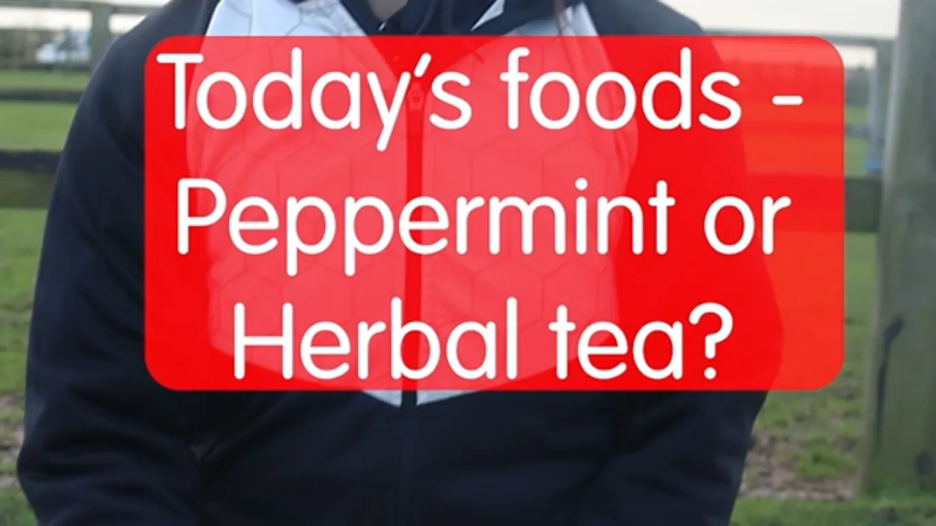 Screenshot from the second Food Show video