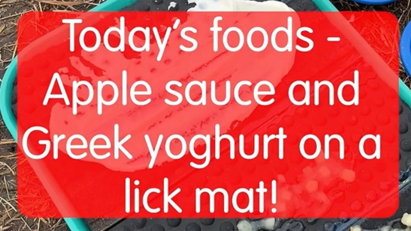 Screenshot from the third food show video