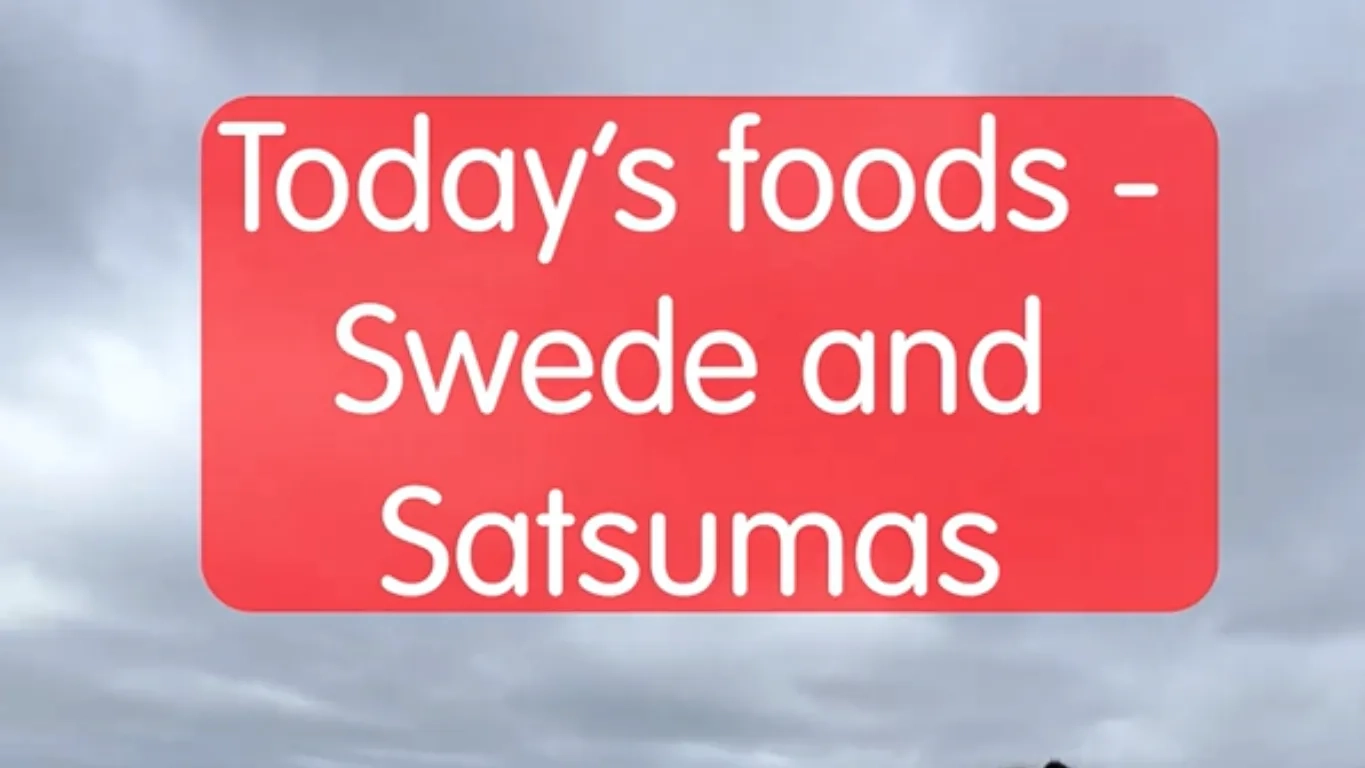 Fifth Food Show screenshot
