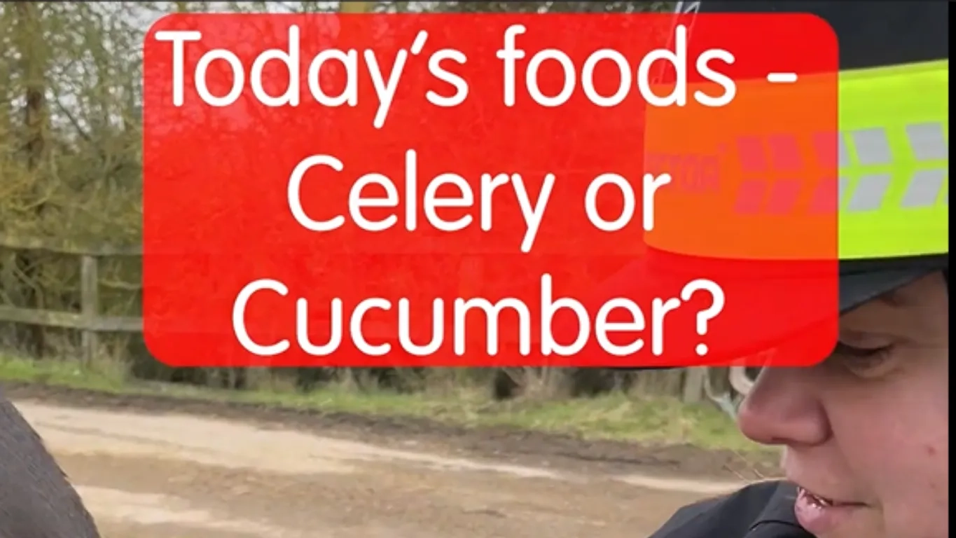 Screenshot from the seventh food show video
