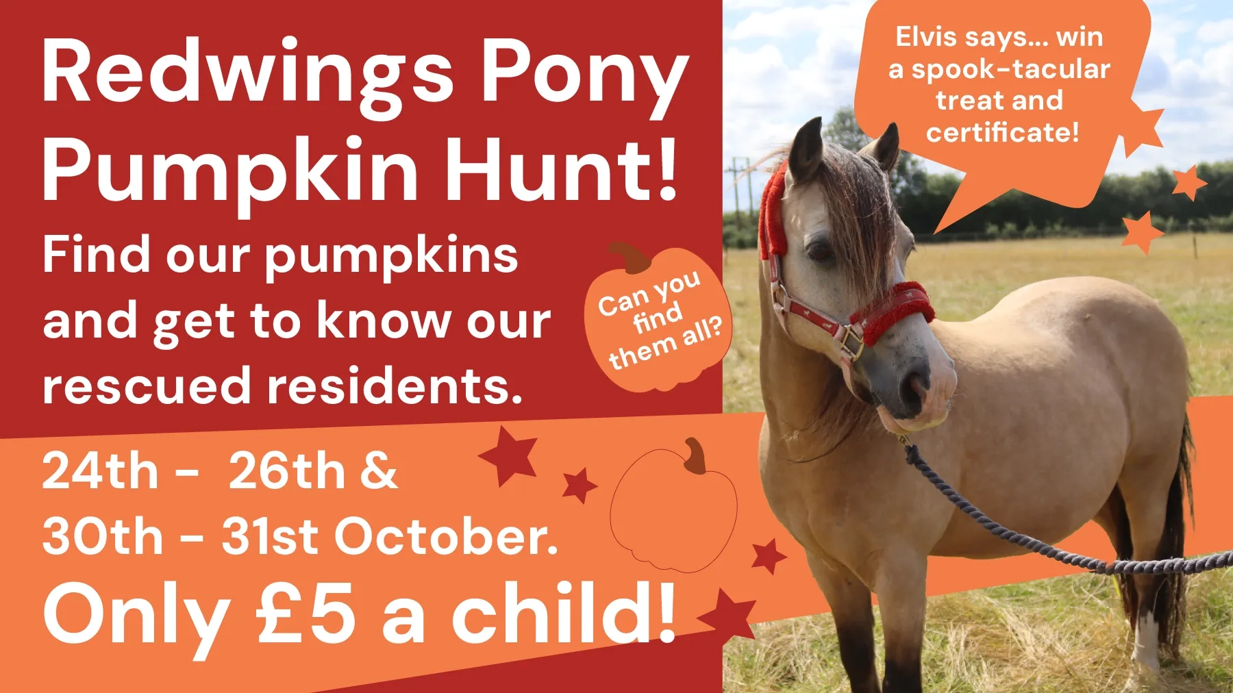 Pumpkin Hunt Banner