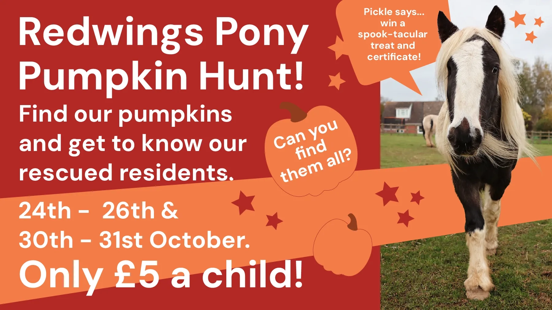 Pumpkin Hunt Aylsham