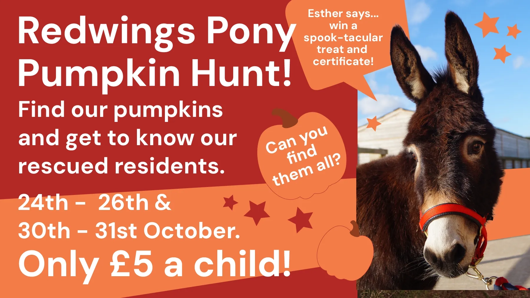 Caldecott Pumpkin Hunt