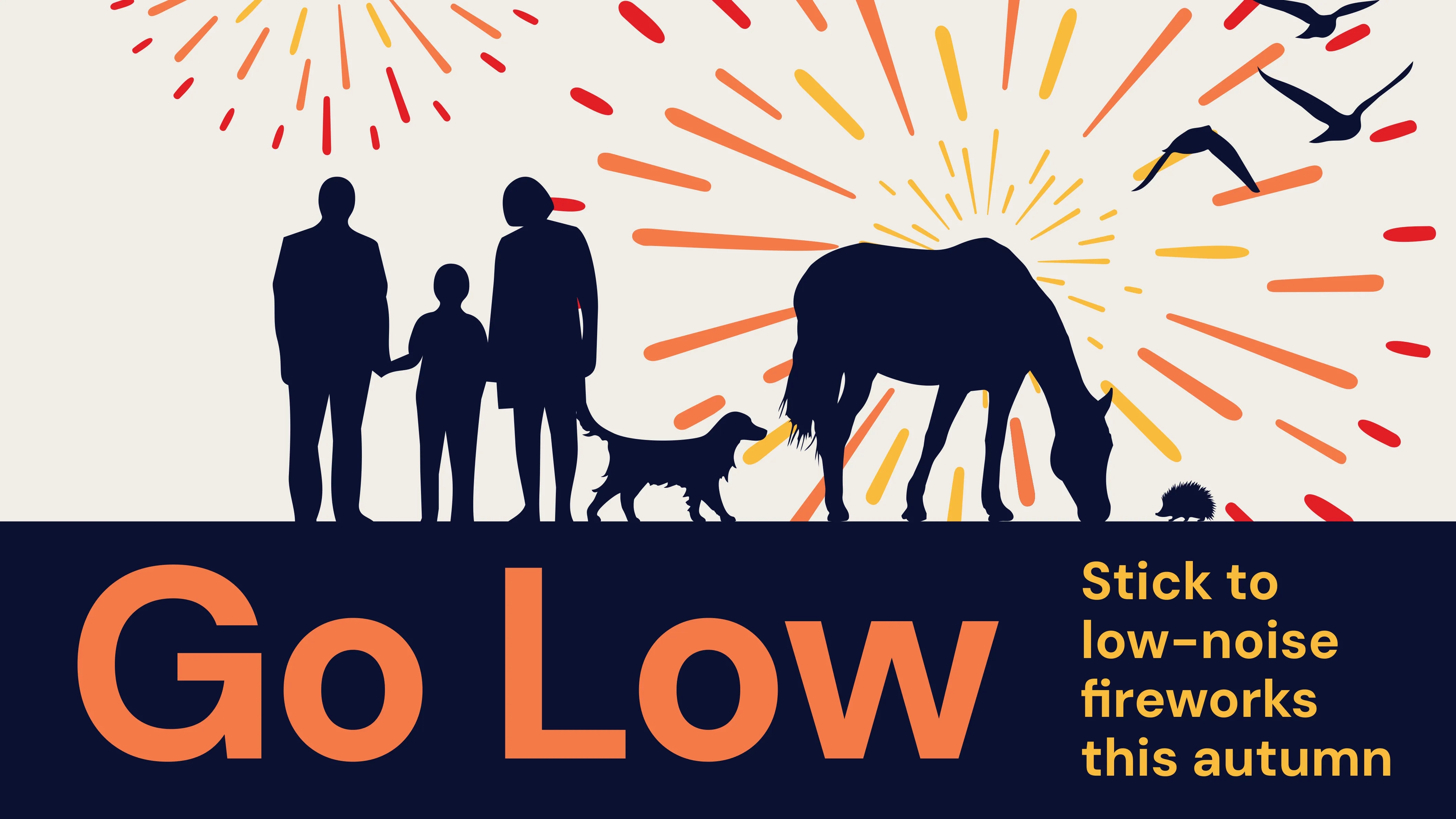 Go Low web banner