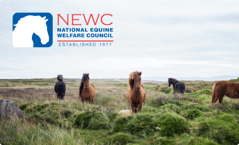 National Equine Welfare Council