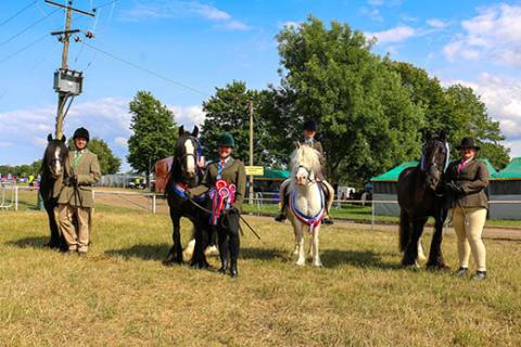 Redwings Budgie and handler Dean, Redwings Elsa and handler Megan, Redwings Honey and rider Elli- May and Redwings Edward and Guardian Claire