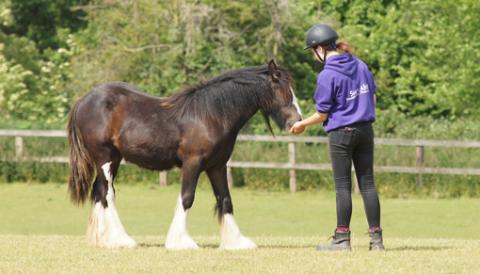 Arabella living happily at the Sanctuary