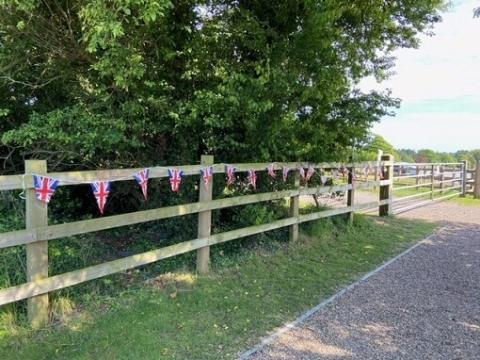 Redwings Caldecott bunting 