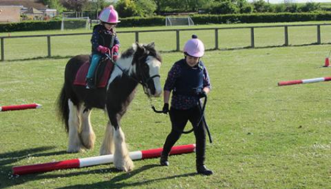 Redwings Lupin has loved trying new things in his Guardian home