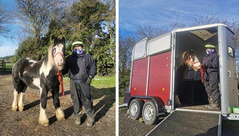 Kenneth exploring one of Redwings horse trailers