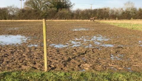 Zac's paddock was covered in thick mud with no grass.