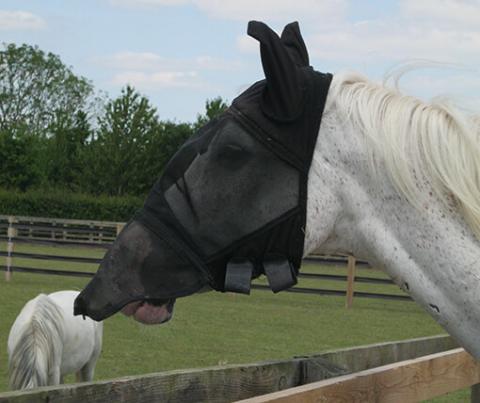 Horse fine mesh mask