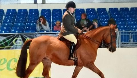 Redwings Molly and Jess at Equifest