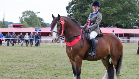 Redwings Bert and Guardian Nikki. Image courtesy of World Horse Welfare