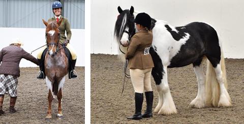 Best Condition Champions Emma-Jane Smith and Merrie Maydance and Reserves Rebecca Wright and Redwings Jacob