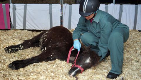 Arthur in intensive care