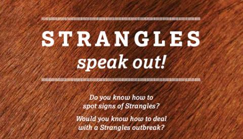 Strangles speak out poster