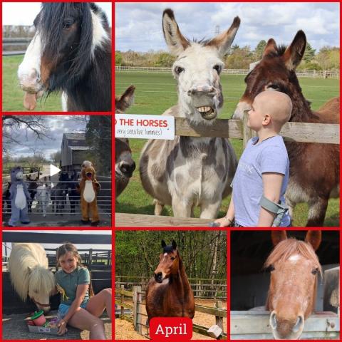A gallery of images from April