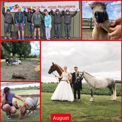 A gallery of images from August