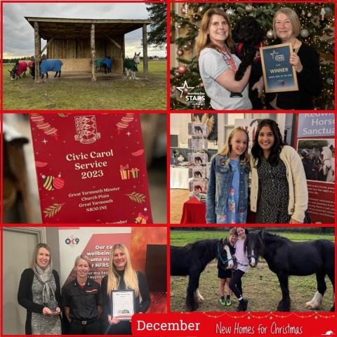 A gallery of images from December