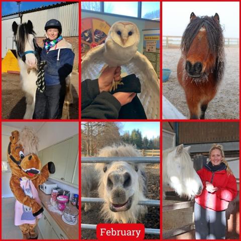 A gallery of images from February