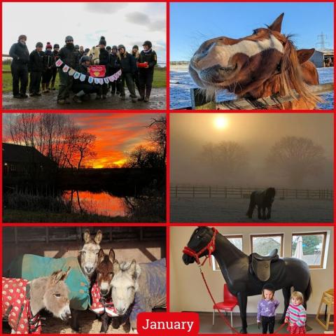 A gallery of images from January