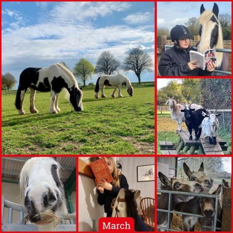 A gallery of images from March
